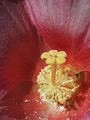 GzOne0921_2